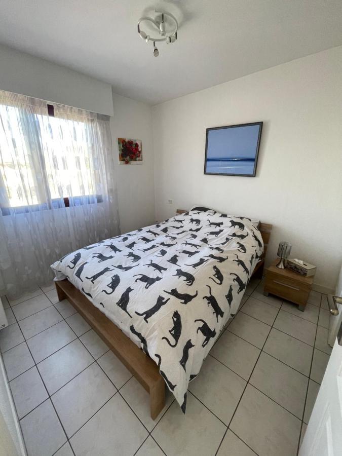 7Mn From The Center/ Pool/Parking Apartment Cannes Bagian luar foto
